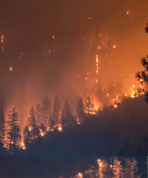 Hot Target Detection