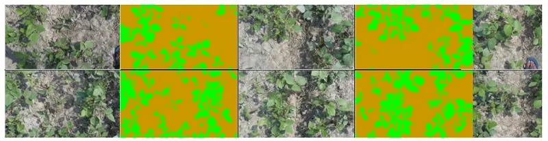 Figure 4. Sample data of vegetation RGB imagery taken using a smartphone, and hand-annotated ground truth data using CAN-EYE software.