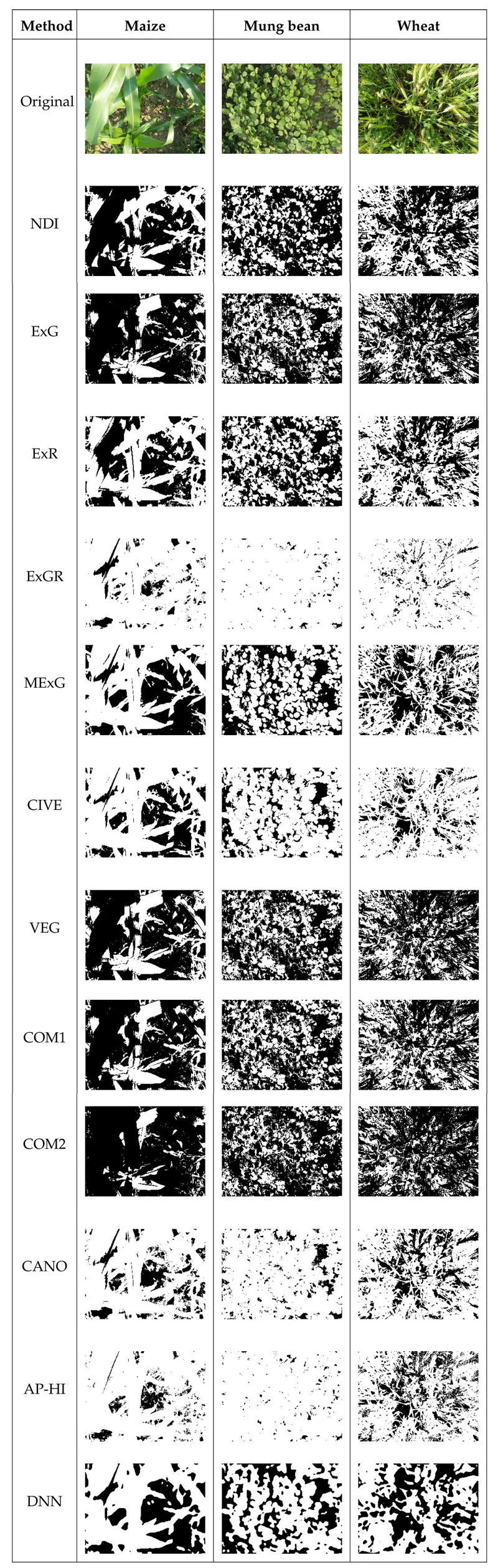 Figure 6. Example segmentations of Maize, Mung bean, and Wheat crops for the given segmentation algorithms (scaled images).