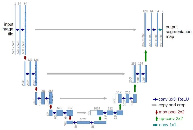 Figure 3. U-net architecture. The blue boxes represent multi-channel feature maps. The number of channels is denoted at the top of the boxes, and the shape data is denoted at the bottom. The white boxes in the upsampling pathway correspond to the copied feature maps. Arrows denote various layer operations (see legend). Image taken from Ronneberger et al.