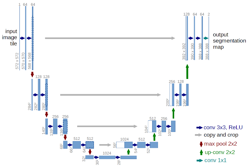 Figure 3. U-net architecture. The blue boxes represent multi-channel feature maps. The number of channels is denoted at the top of the boxes, and the shape data is denoted at the bottom. The white boxes in the upsampling pathway correspond to the copied feature maps. Arrows denote various layer operations (see legend). Image taken from Ronneberger et al.