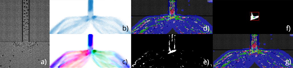 Figure 1. Detection method sequence.