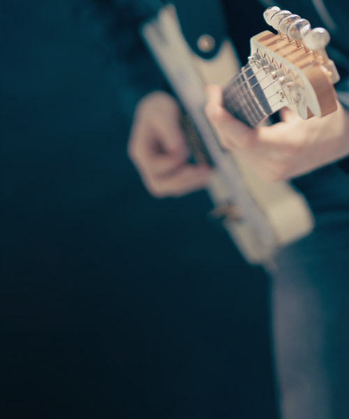 Vie cover image